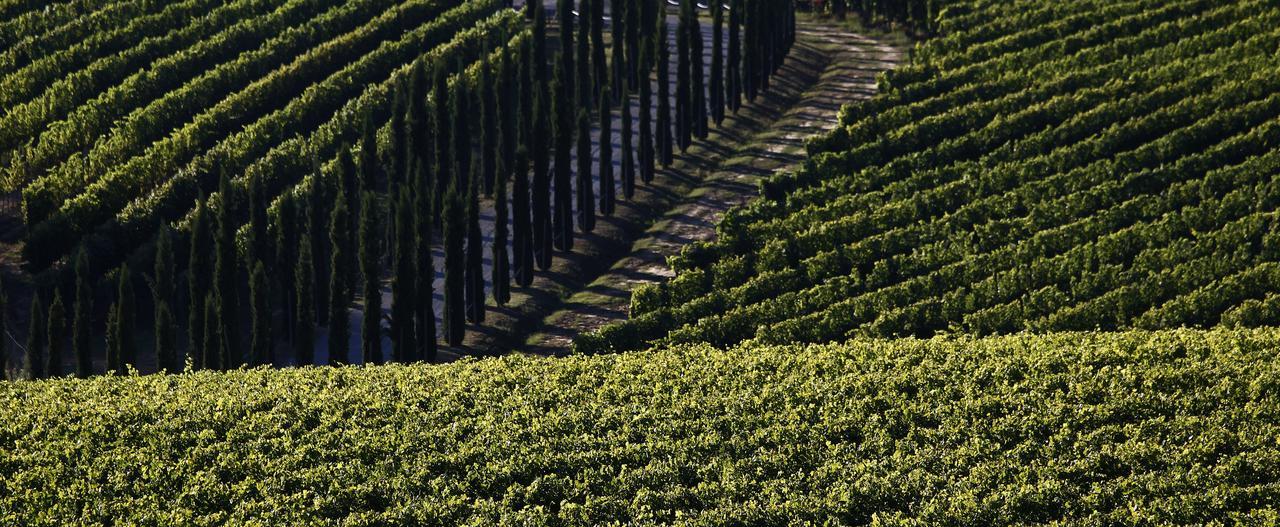 Вилла Poggio Al Casone Crespina Экстерьер фото